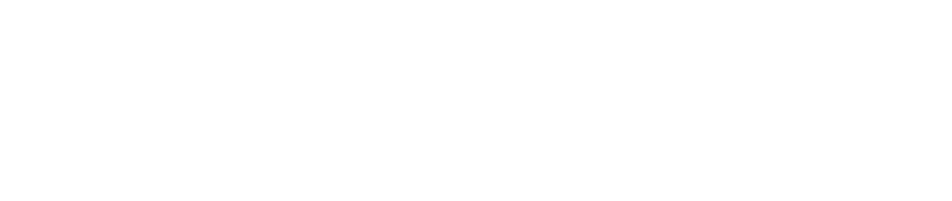 マキシエンスロゴ