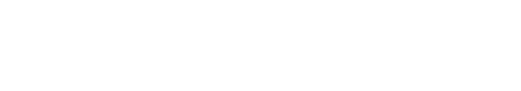 マキシエンス Vロゴ