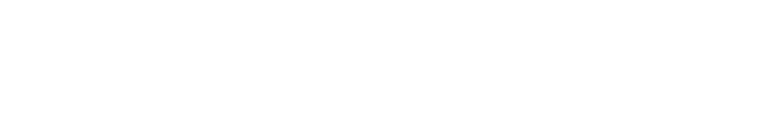プレミエンス　Vロゴ